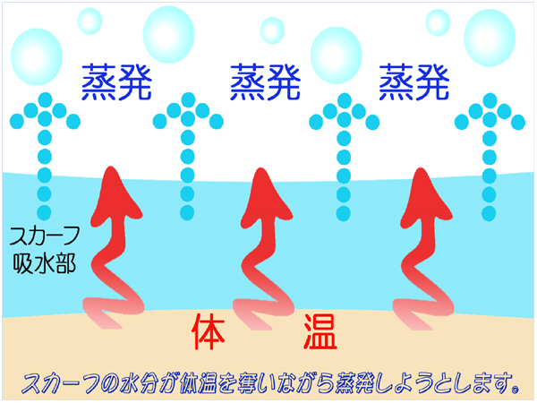 �E�H�[�^�[�N�[���X�J�[�t�̗������d�g��