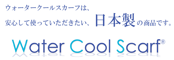 ���{���ł�