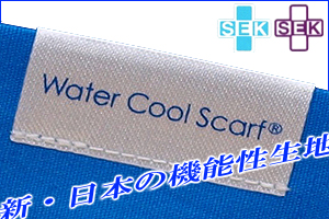 ���q�l����̂��v�]�`�f�ނւ̂������