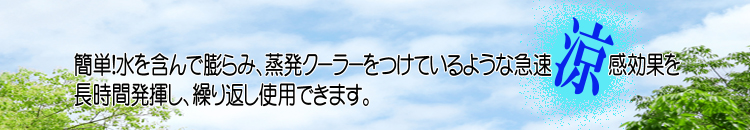 �E�H�[�^�[�N�[���X�J�[�t�u