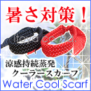 �E�H�[�^�[�N�[���X�J�[�t